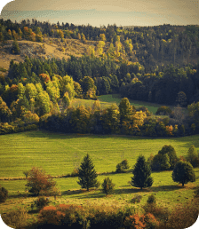 Climates Alliance kapcsolat